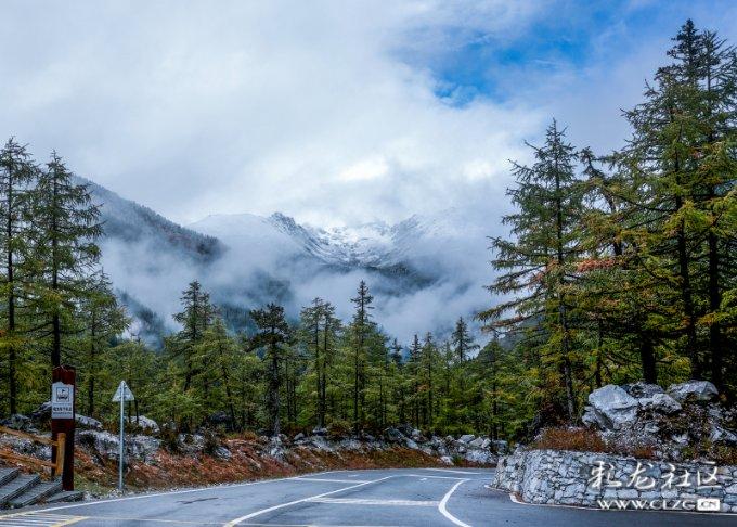虫虫助手下载