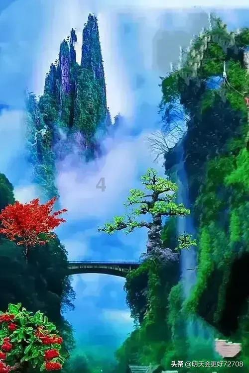 月光影视