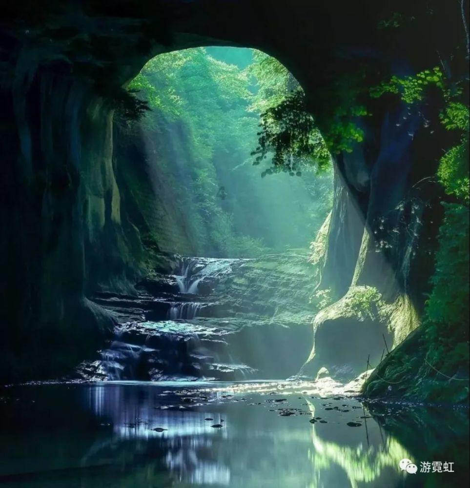 探索天麻炖鸽子需要怎么做热门话题,发现红迪网上的精彩世界!