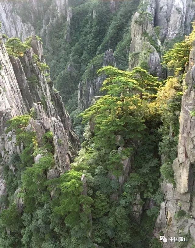 小猫钓鱼正版下载中文版