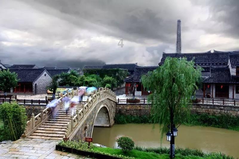 俄特别代表:上合组织不针对任何方面,该组织有创造性理念